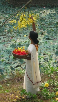 Atul Prasad translation: So Many Flowers